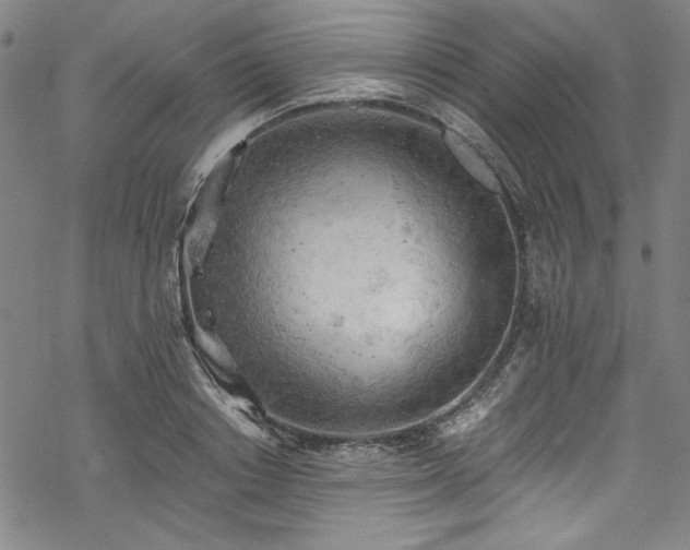 X0000068900842200605081343