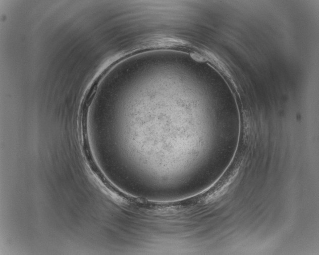 X0000068900843200605081343