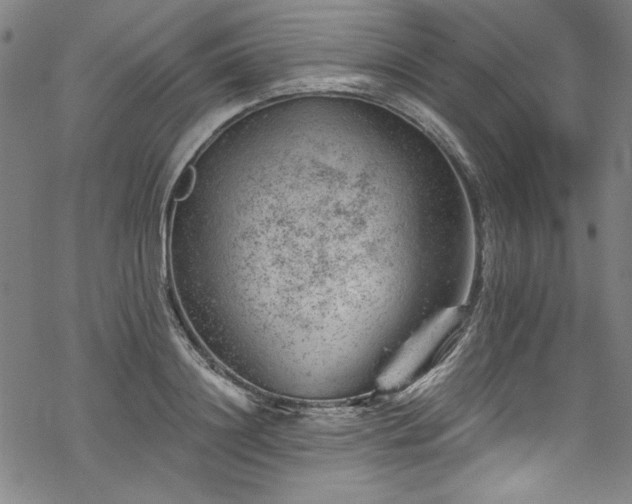 X0000068900844200605081343