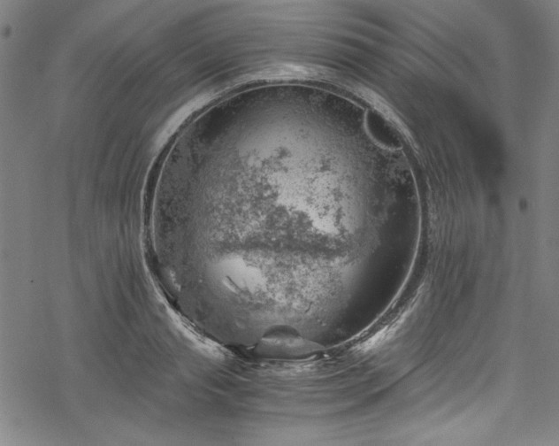 X0000068900845200605081343