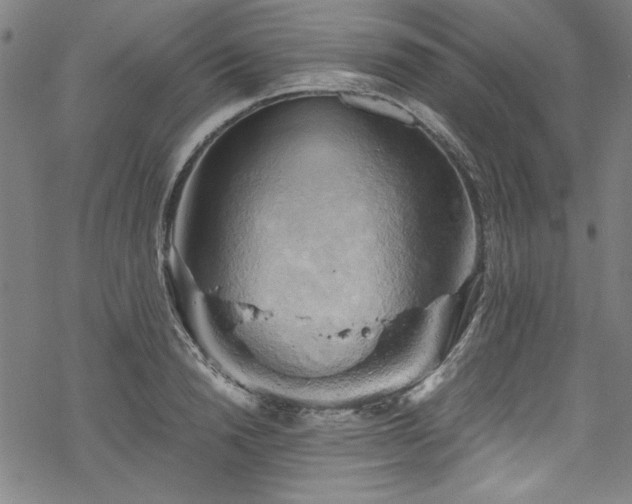 X0000068900846200605081343