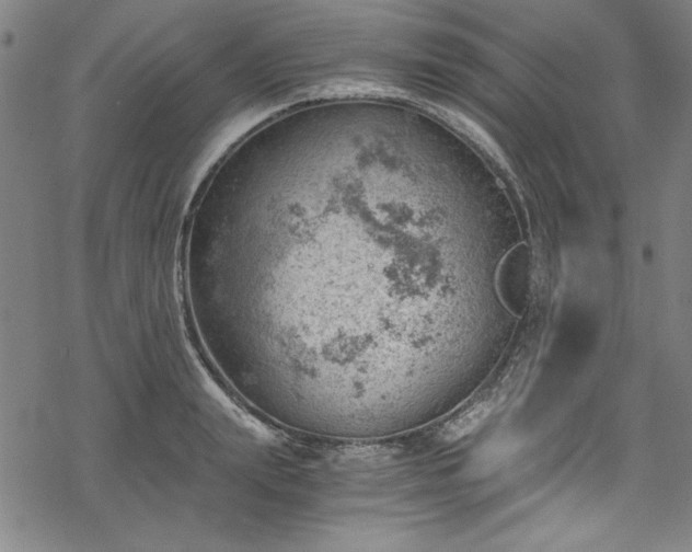 X0000068900847200605081343