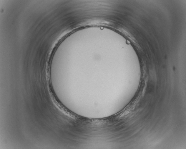 X0000068900848200605081343