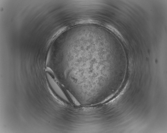 X0000068900849200605081343