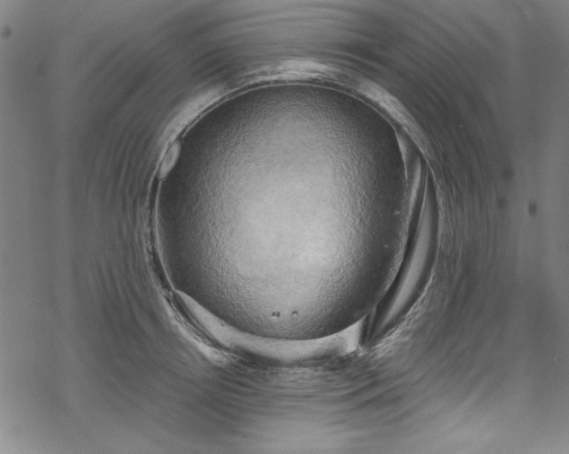 X0000068900850200605081343