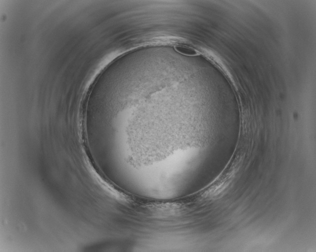 X0000068900851200605081343