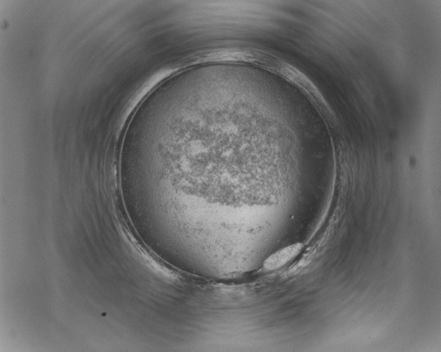 X0000068900852200605081343