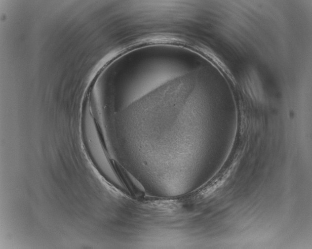 X0000068900853200605081343