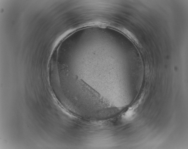 X0000068900854200605081343