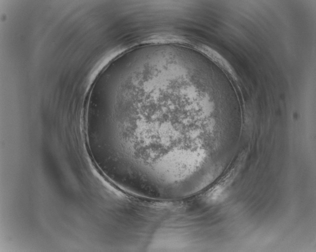 X0000068900855200605081343