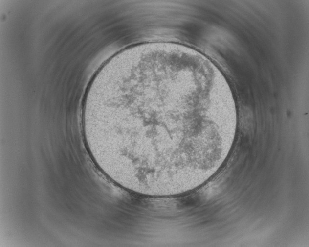 X0000068900856200605081343