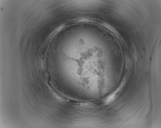 X0000068900857200605081344