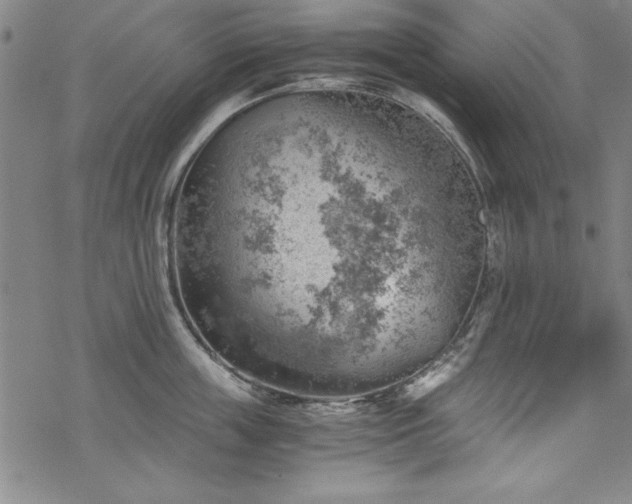 X0000068900859200605081344