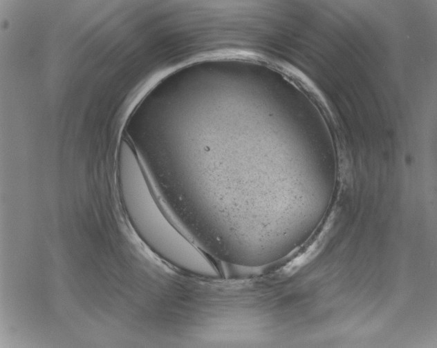 X0000068900860200605081344