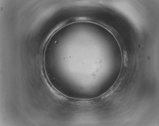 X0000068900861200605081344