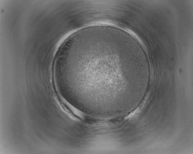 X0000068900862200605081344