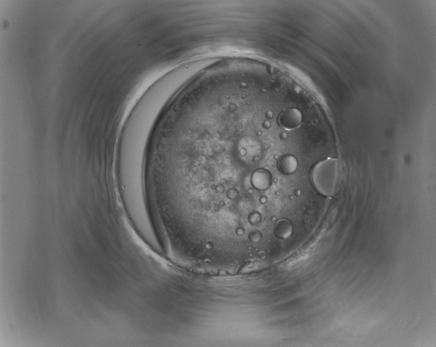 X0000068900863200605081344