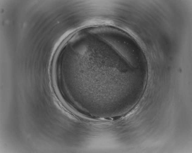 X0000068900864200605081344