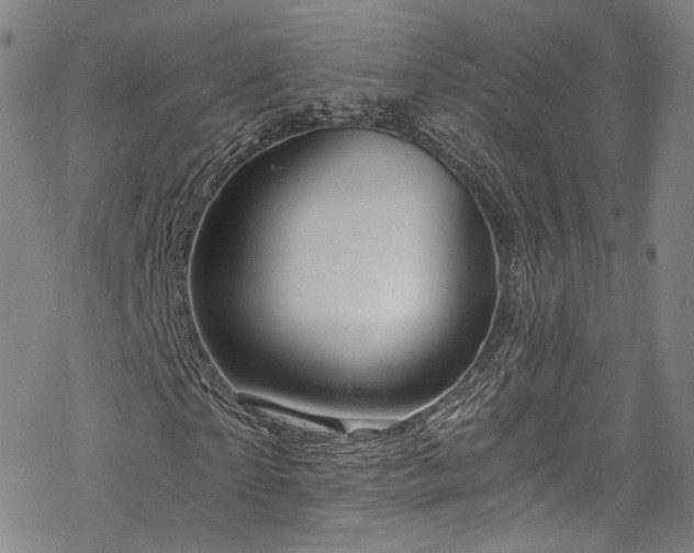 X0000068900865200605081343