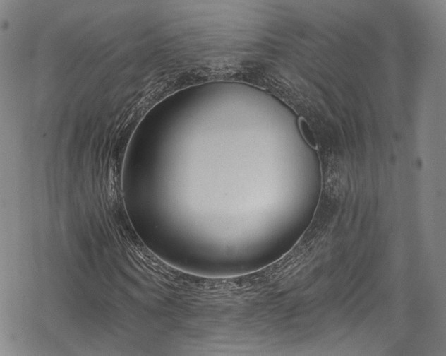 X0000068900866200605081343