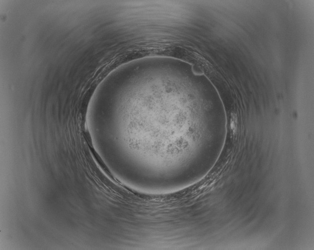 X0000068900867200605081343