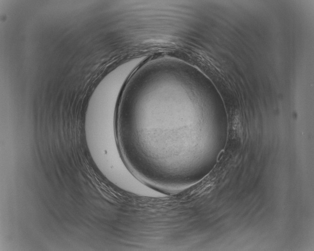 X0000068900868200605081343