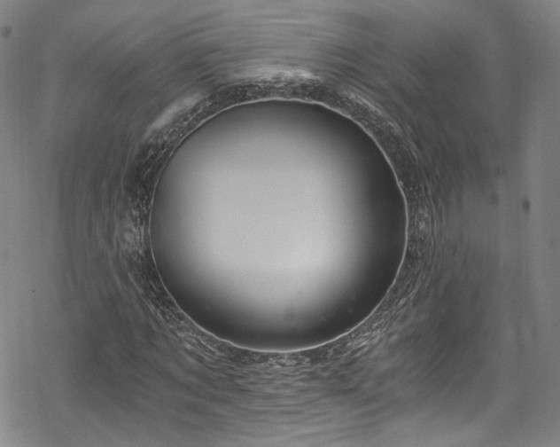 X0000068900869200605081343