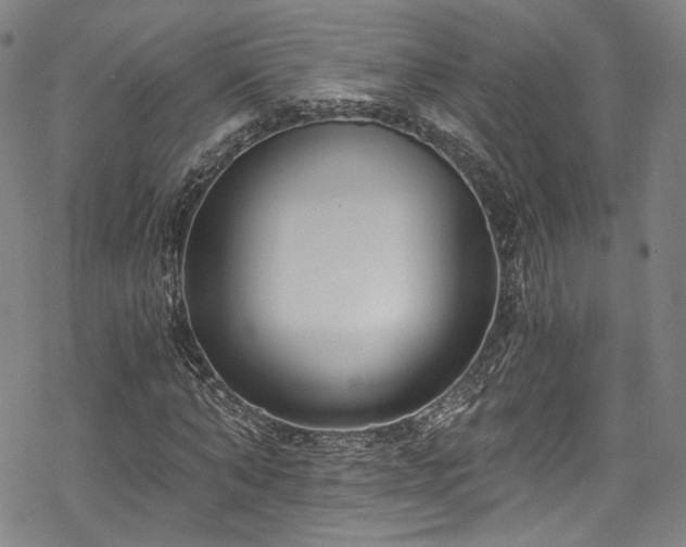 X0000068900870200605081343