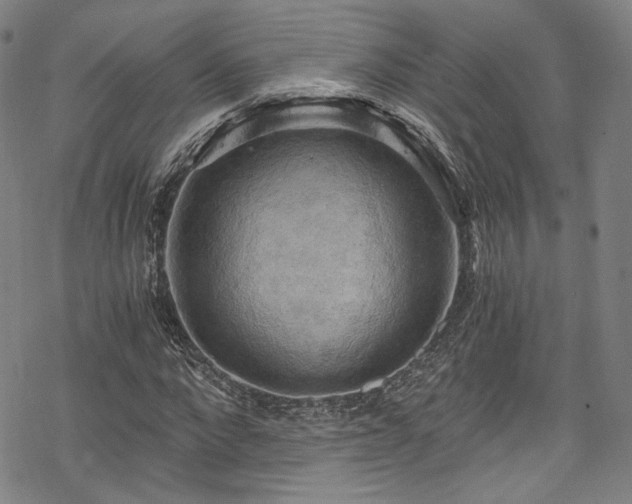 X0000068900872200605081343