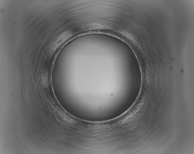 X0000068900873200605081343