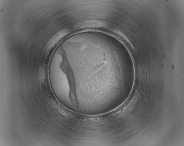 X0000068900874200605081343