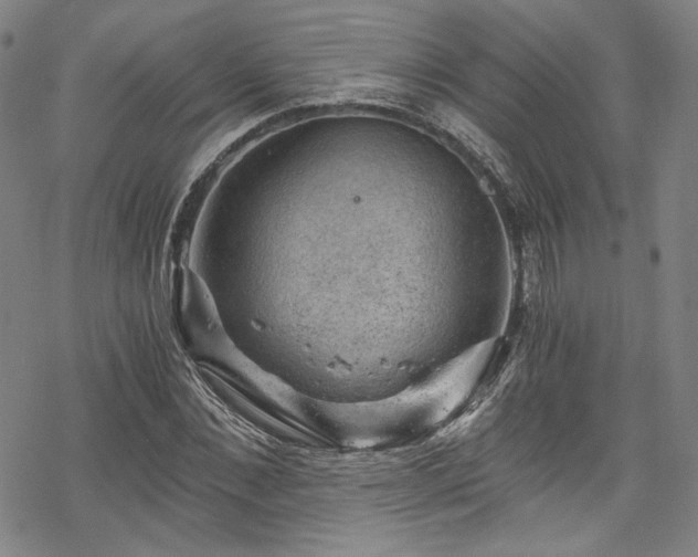 X0000068900876200605081343