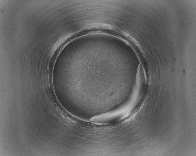 X0000068900877200605081343