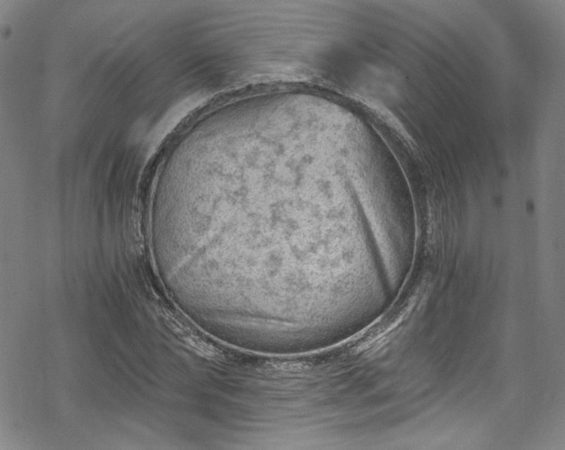 X0000068900878200605081343