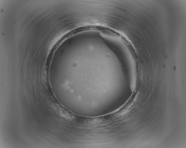 X0000068900879200605081343