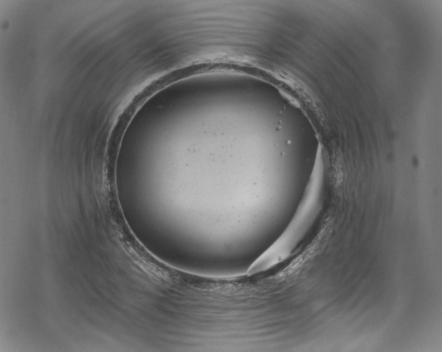 X0000068900880200605081343