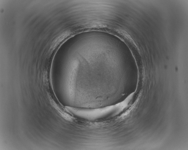 X0000068900881200605081343