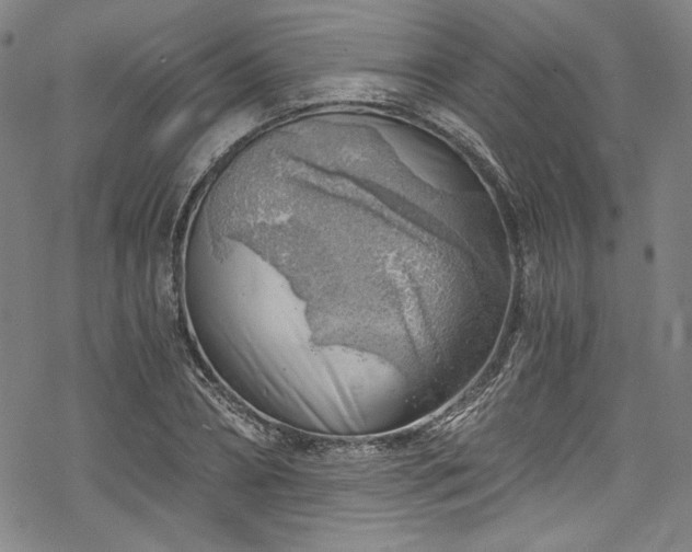 X0000068900882200605081343