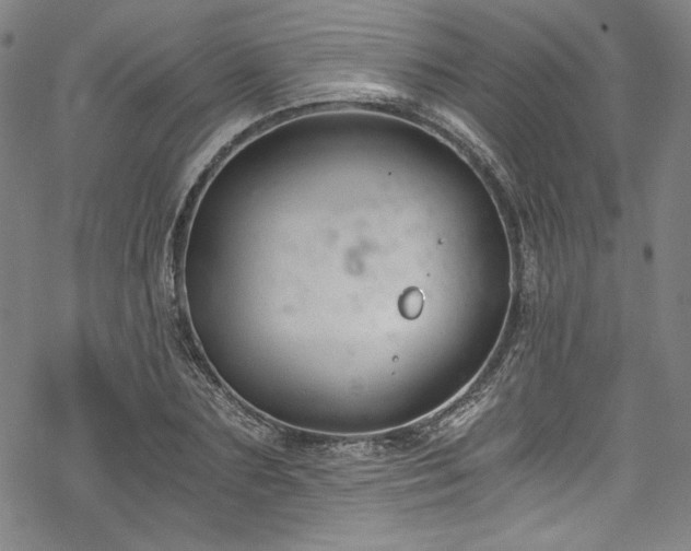 X0000068900883200605081343