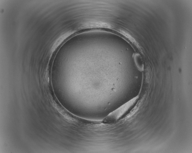 X0000068900885200605081342