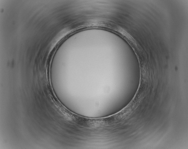 X0000068900886200605081342