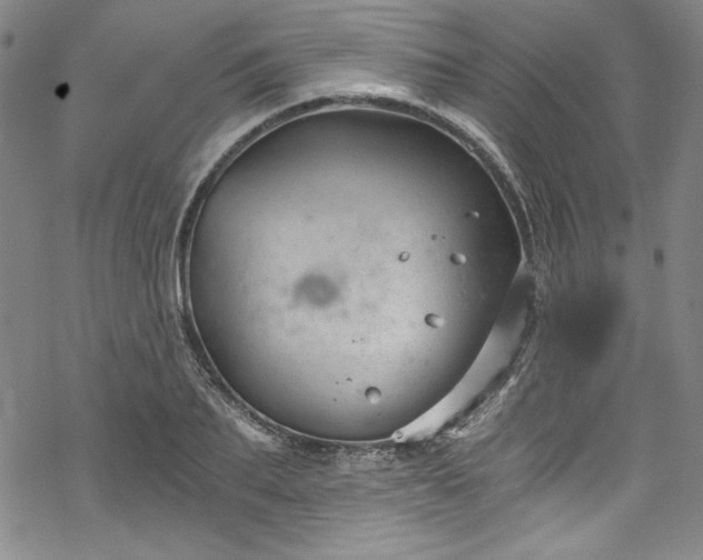 X0000068900887200605081342