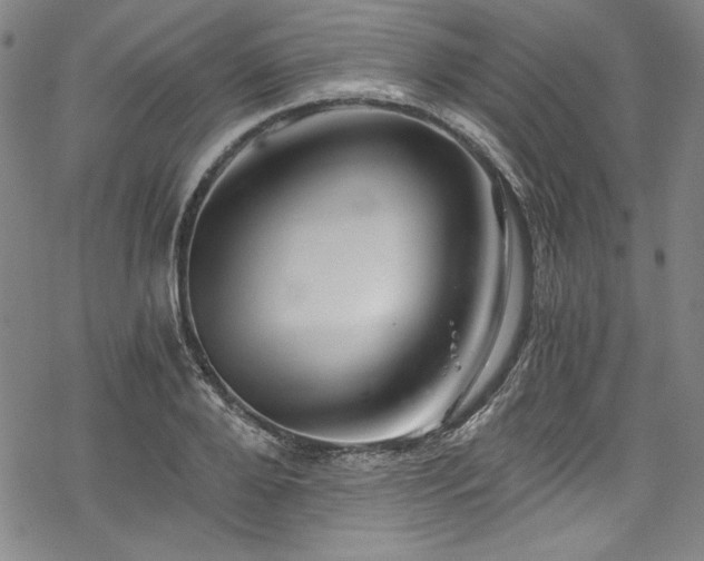 X0000068900888200605081342