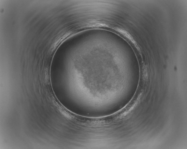 X0000068900889200605081342