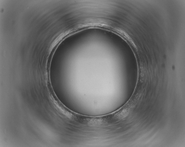 X0000068900890200605081342