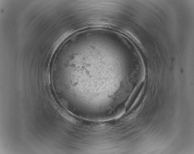 X0000068900891200605081342