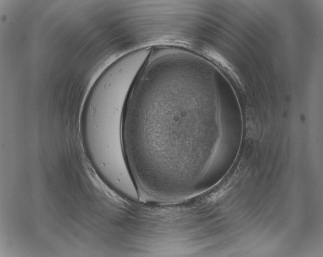 X0000068900892200605081342