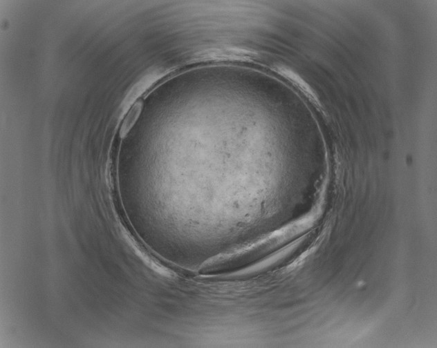 X0000068900893200605081342