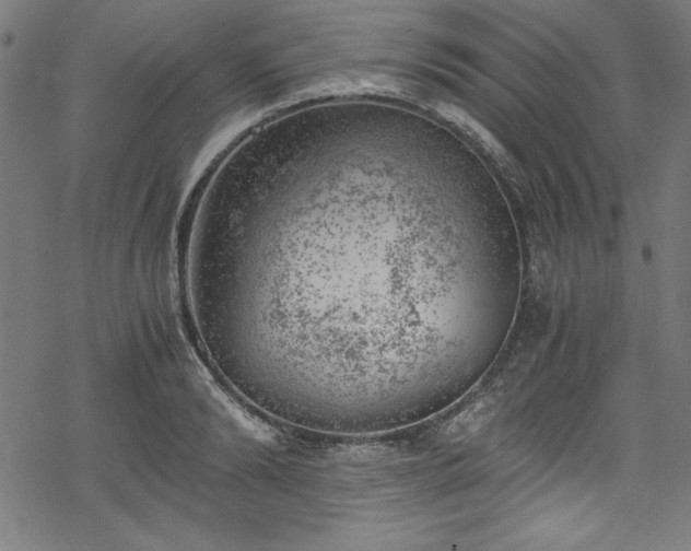 X0000068900894200605081342