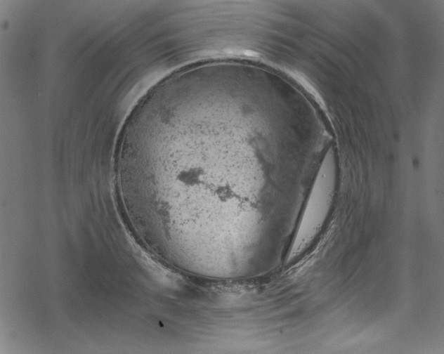 X0000068900895200605081342